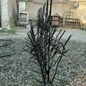 حفاظ شاخ گوزنی در نوشهر