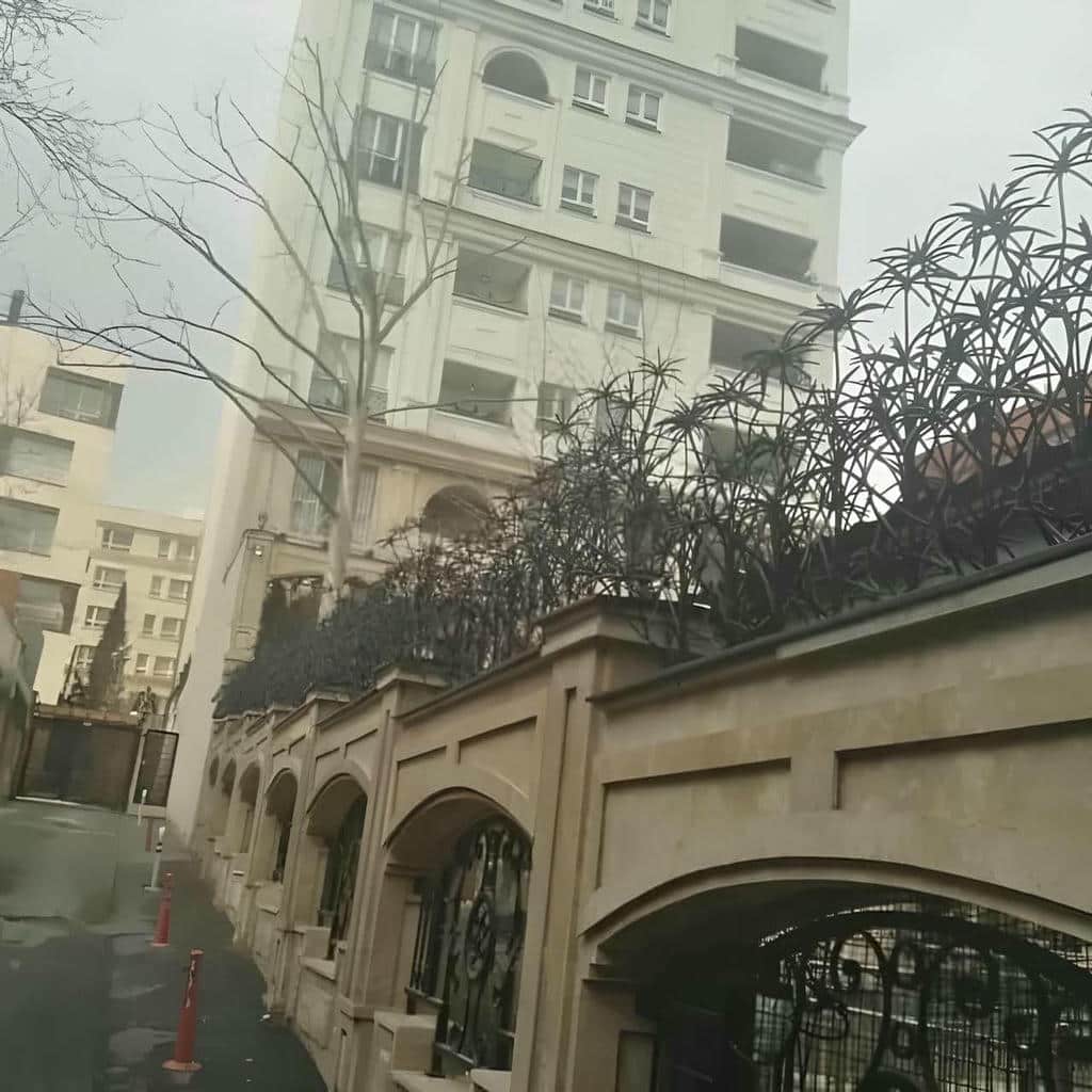 کارخانه حفاظ شاخ گوزنی کنترل کیفیت در بندر دیلم