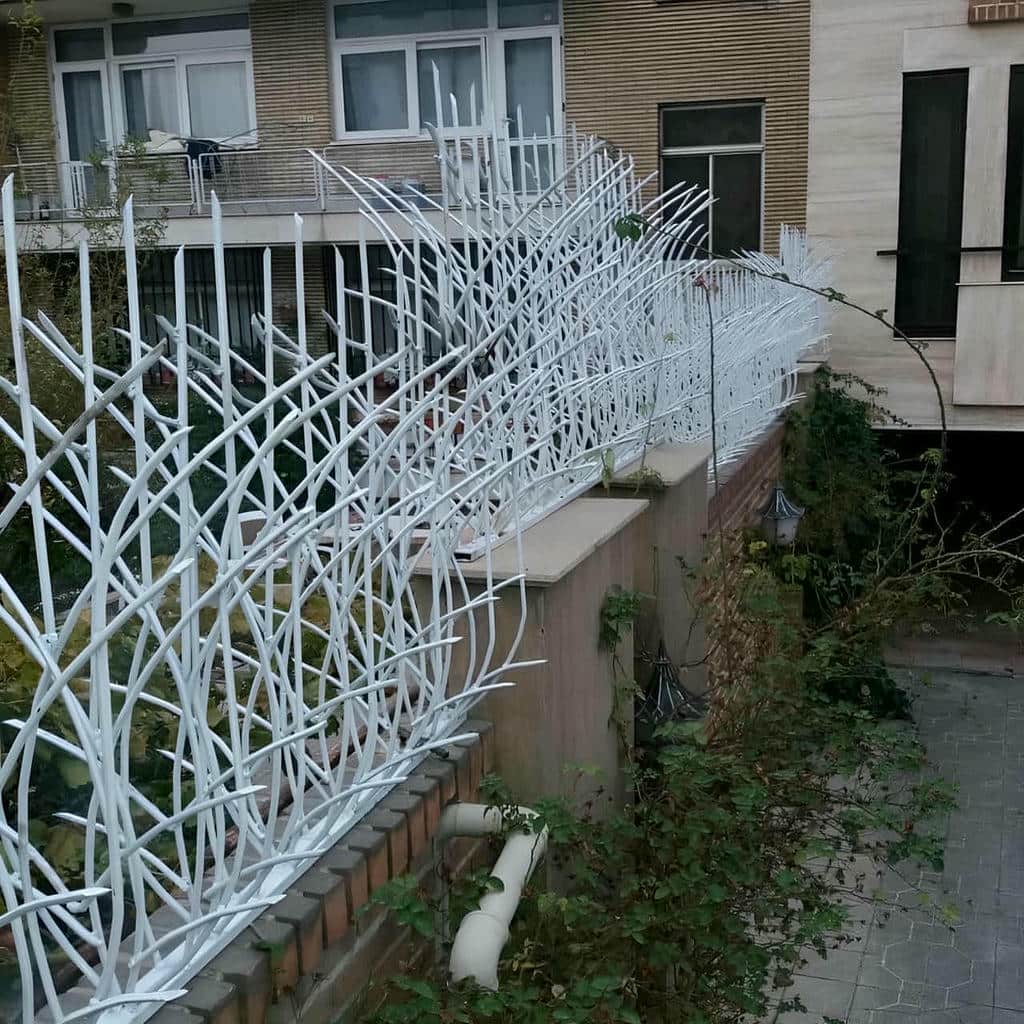 نصب حفاظ شاخ گوزنی ضدزنگ در بندر بوشهر