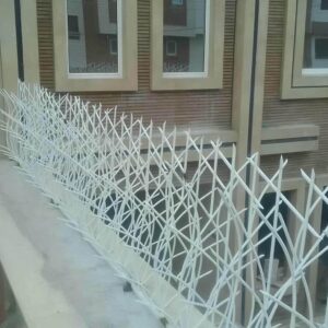 حفاظ شاخ گوزنی در فشم