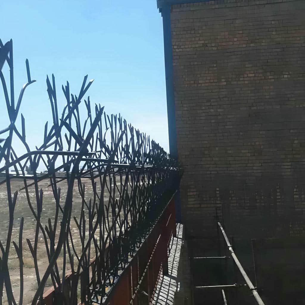 قیمت حفاظ شاخ گوزنی سازگار دیوار در سبزوار