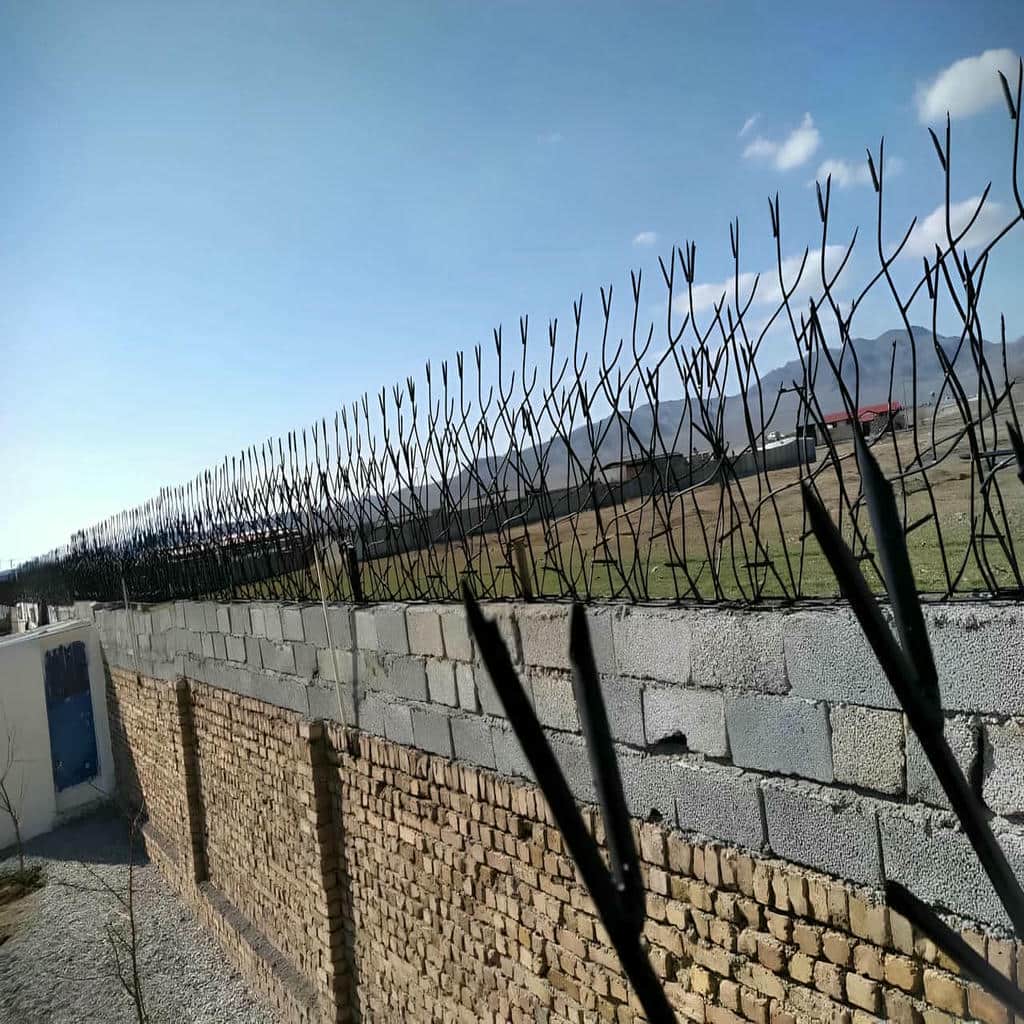 خرید حفاظ شاخ گوزنی متناسب دیوار در بیرجند