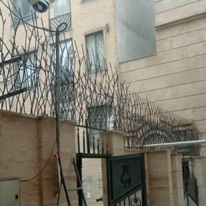 حفاظ شاخ گوزنی در بابل