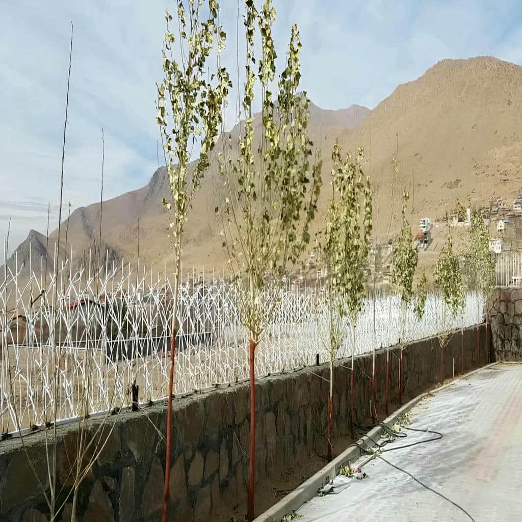 قیمت حفاظ شاخ گوزنی ضدزنگ در اشتهارد
