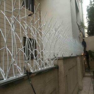 حفاظ شاخ گوزنی در کرمانشاه