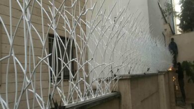 حفاظ شاخ گوزنی در کرمانشاه
