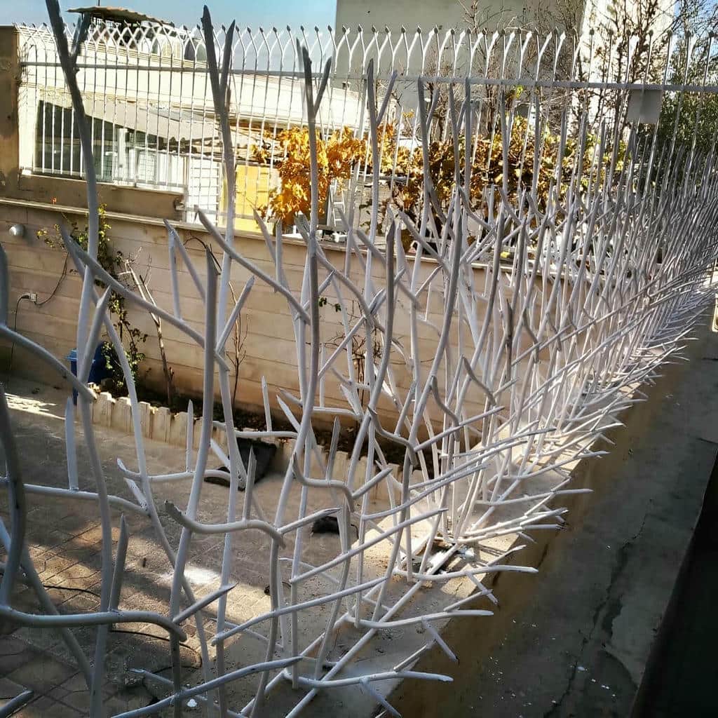 نصب حفاظ شاخ گوزنی دیوار ساختمان در گنبدکاووس