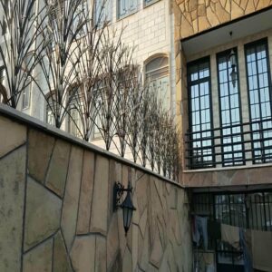 حفاظ شاخ گوزنی در محمدشهر