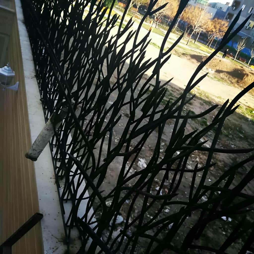 قیمت حفاظ شاخ گوزنی رنگ نما در قم
