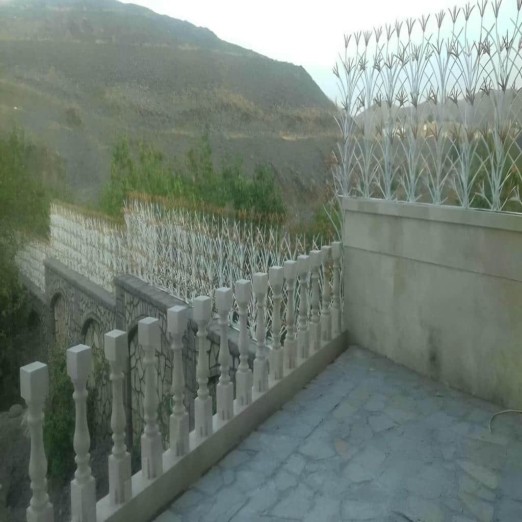 نصب حفاظ شاخ گوزنی دیوار ساختمان در مشهد