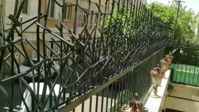 حفاظ شاخ گوزنی در لواسان
