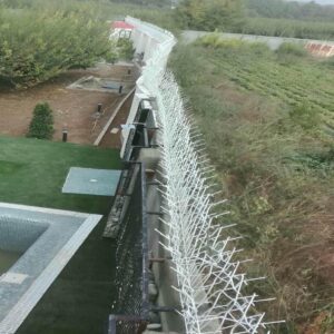 حفاظ شاخ گوزنی در مشهد