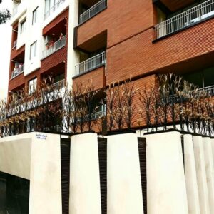 حفاظ شاخ گوزنی در بندر بوشهر