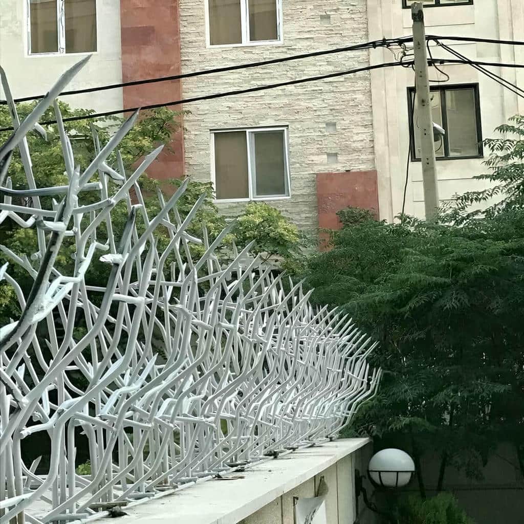 فروش حفاظ شاخ گوزنی کاربری مسکونی در قم