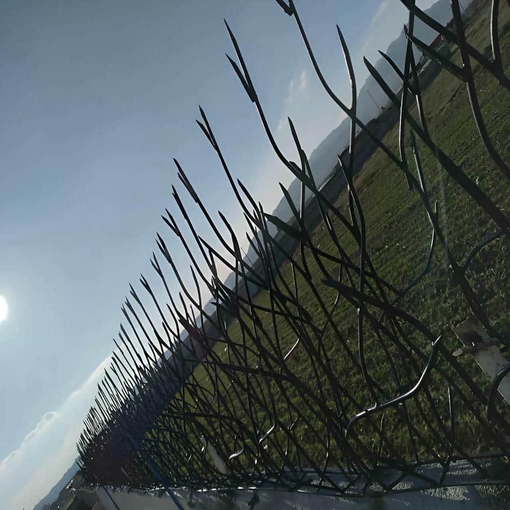 فروش حفاظ شاخ گوزنی سیستم استاندارد در سقز