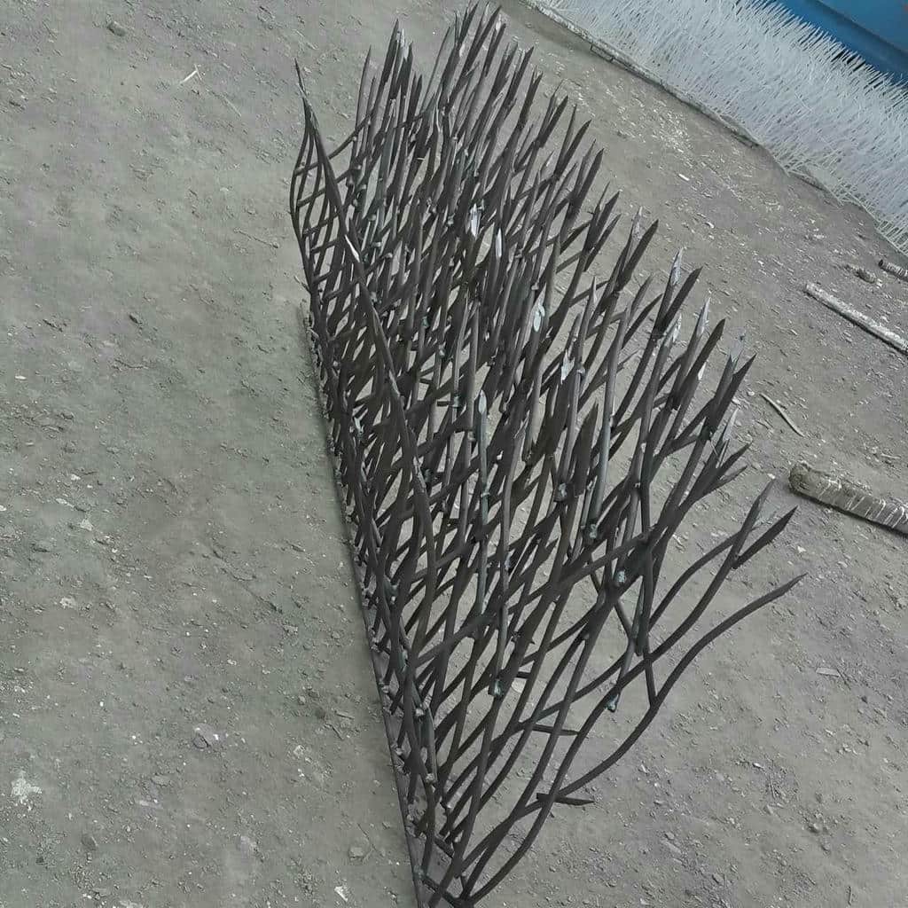 خرید حفاظ شاخ گوزنی ارتفاع متناسب در بندر دیلم