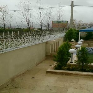 حفاظ شاخ گوزنی در ملارد