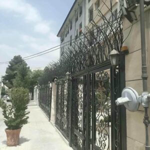 حفاظ شاخ گوزنی در سنندج