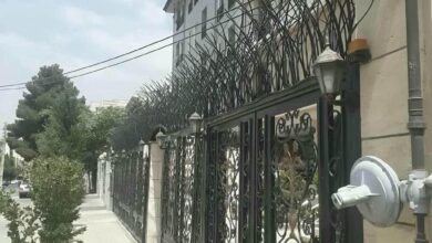 حفاظ شاخ گوزنی در سنندج