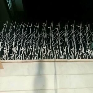 حفاظ شاخ گوزنی در کرج