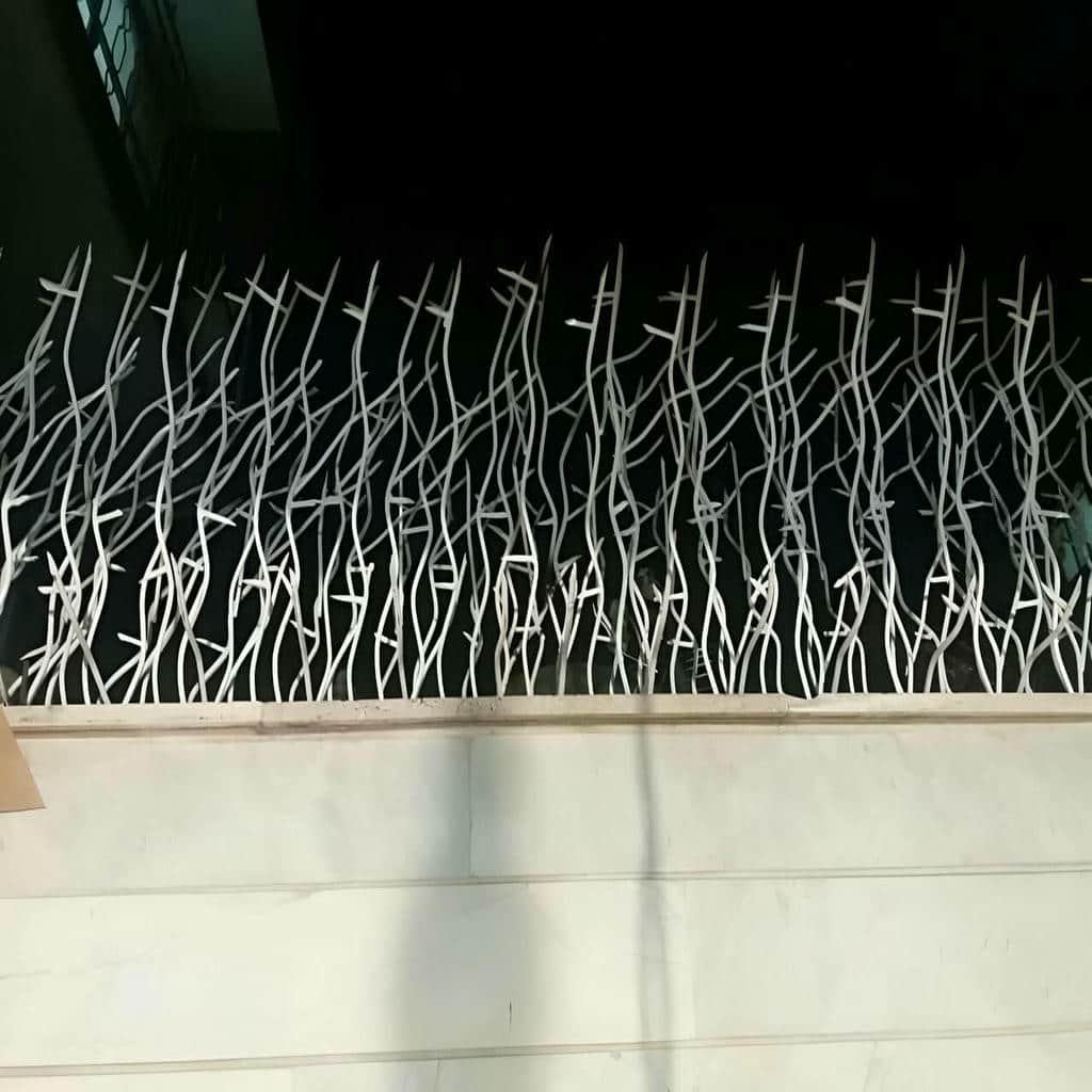 حفاظ شاخ گوزنی در کرج