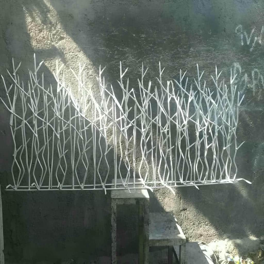 حفاظ شاخ گوزنی در ساوه