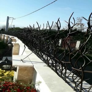 حفاظ شاخ گوزنی در نیشابور