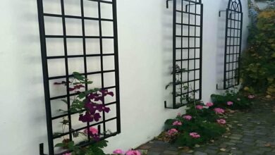 حفاظ پنجره در بندر انزلی