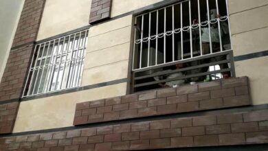 حفاظ پنجره در دماوند