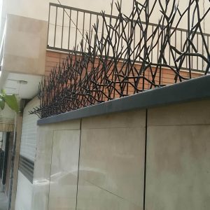 حفاظ دیواری شاخ گوزنی تراکم 34