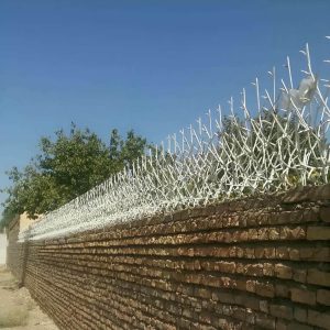 مدل های متنوع حفاظ شاخ گوزنی