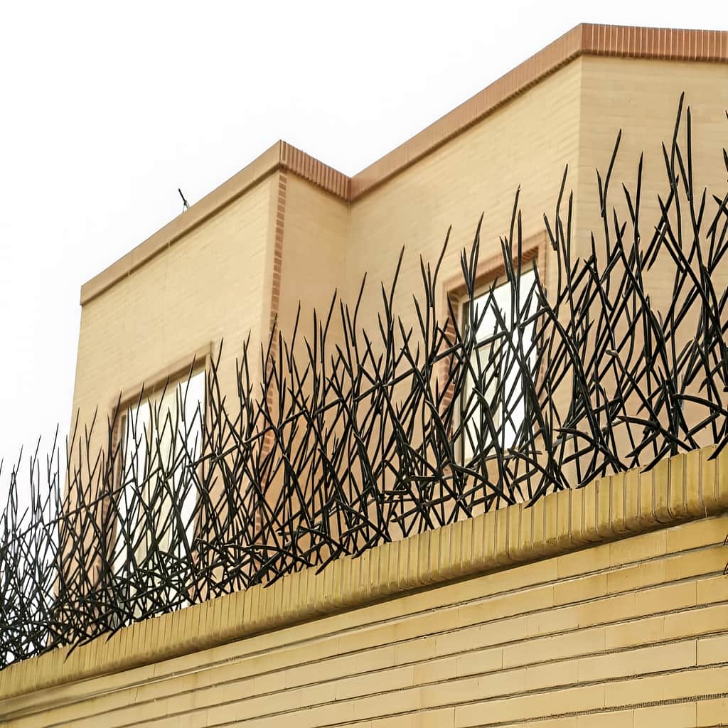 حفاظ بوته ای تراکم 67 با 19 ردیف شاخک اصلی