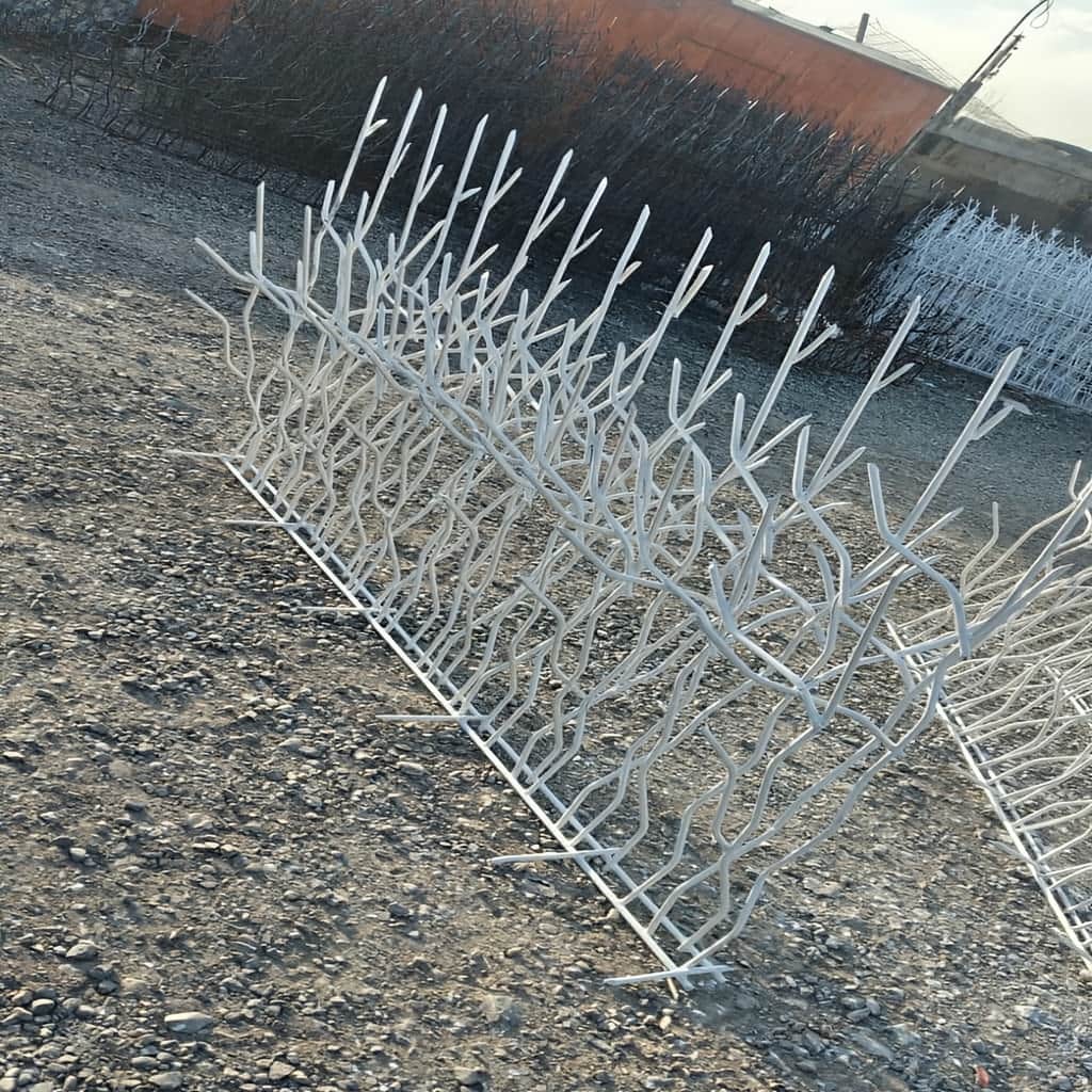 حفاظ شاخ گوزنی تراکم 31 با 3 ستون عرضی منظم