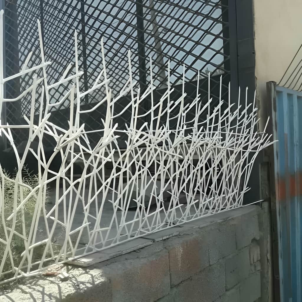 حفاظ شاخ گوزنی تراکم 40 با شاخک های گیوتین خورده