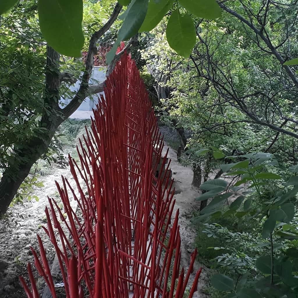 خرید حفاظ بوته ای دیوار پرتراکم با تراکم مناسب خرید حفاظ بوته ای دیوار پرتراکم با تراکم مناسب
