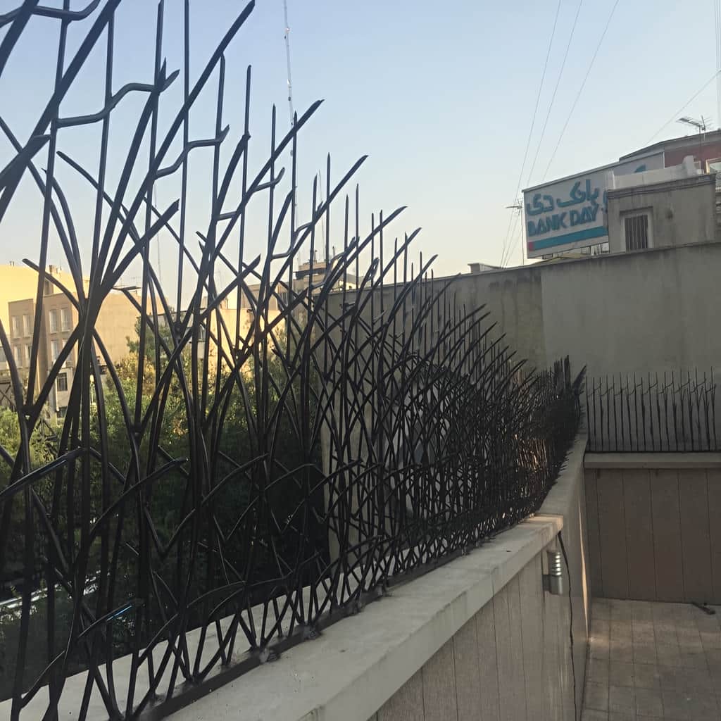 سفارش حفاظ نیزار دیوار باغ بر اساس ابعاد دیوار سفارش حفاظ نیزار دیوار باغ بر اساس ابعاد دیوار