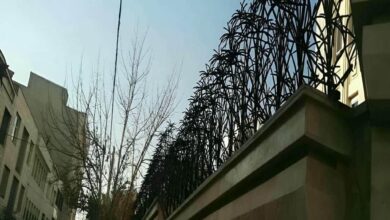 6 مدل حفاظ دیوار شاخ گوزنی میلگرد خمکاری