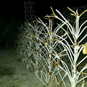12 مدل حفاظ لیلیوم دیوار لوکس ویلا