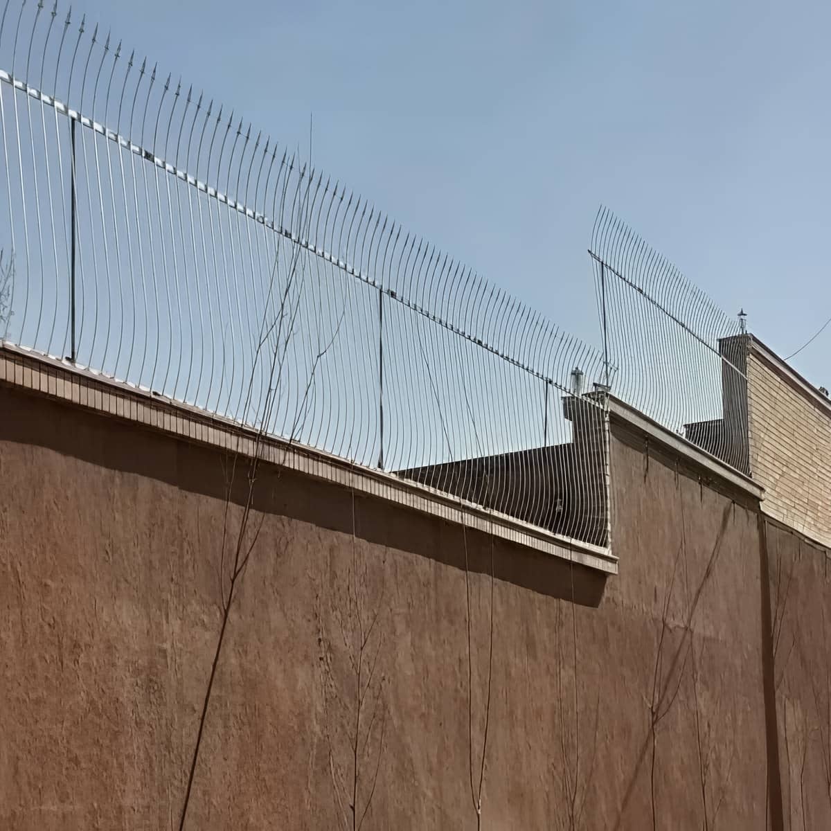 حفاظ سرنیزه ای دو نیزه
