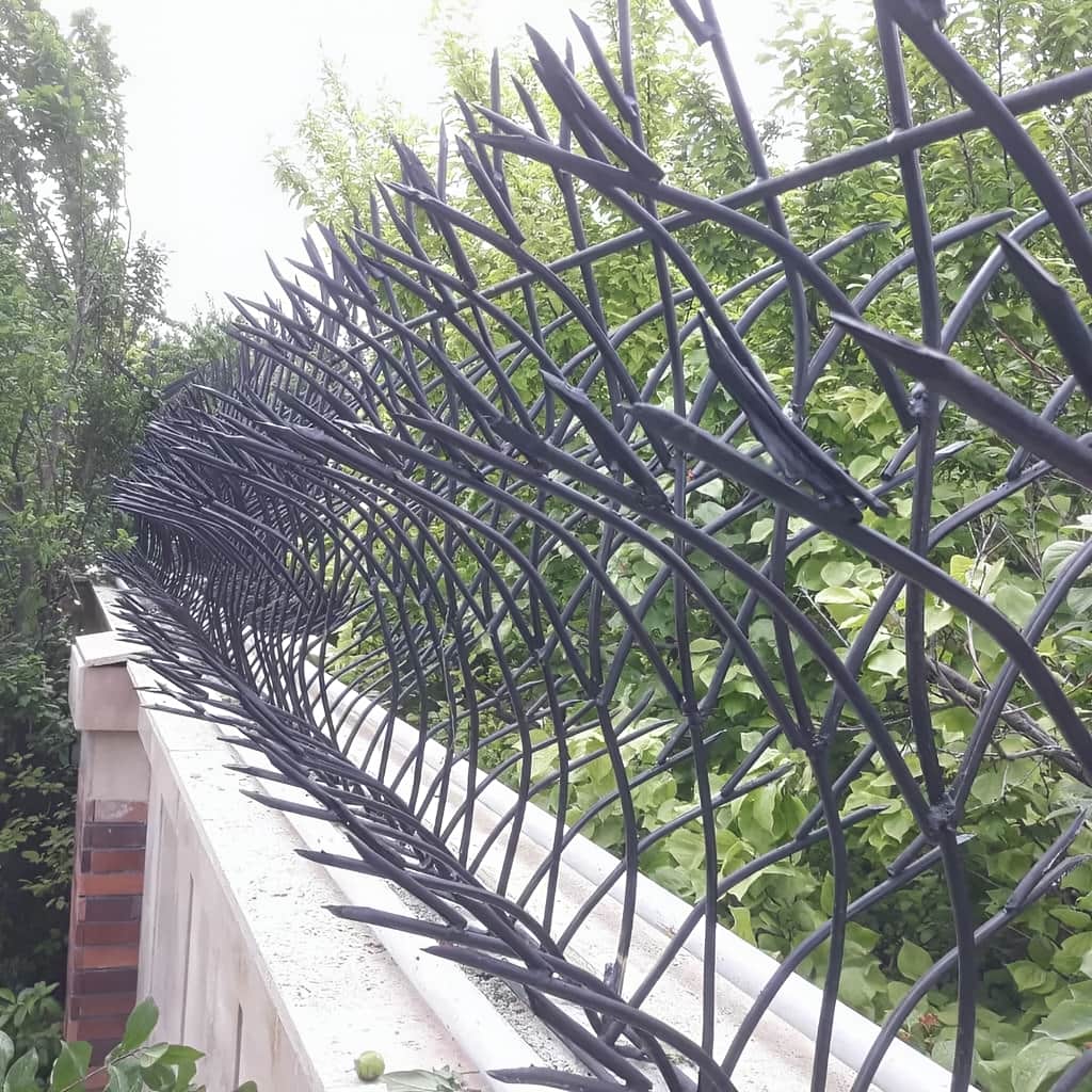 حفاظ غنچه ای در نمونه نصب تخصصی