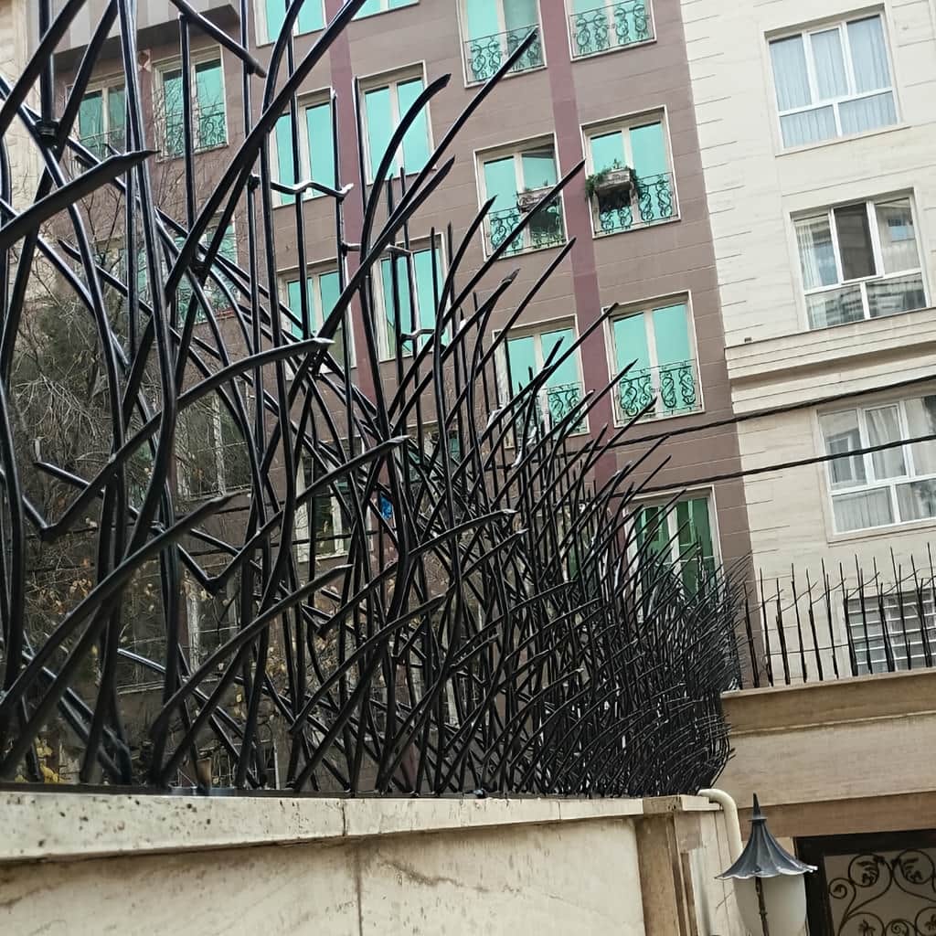 حفاظ نیزار با ساختار منظم متراکم