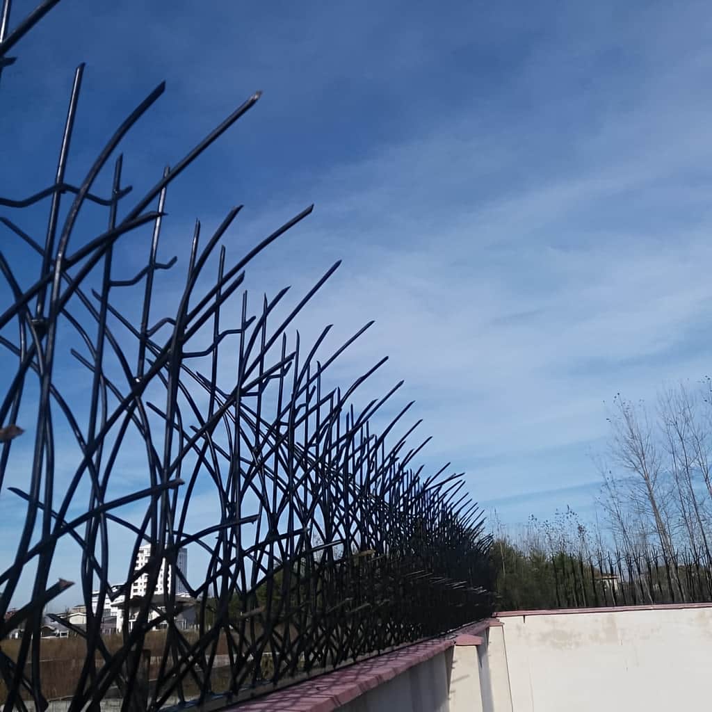 حفاظ نیزار در نمونه اجرای ساختمانی