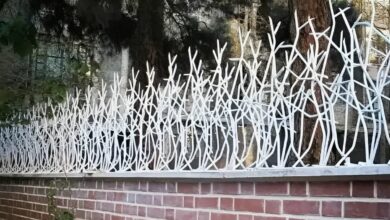 حفاظ شاخ گوزنی طرح اف با شاخه های متراکم