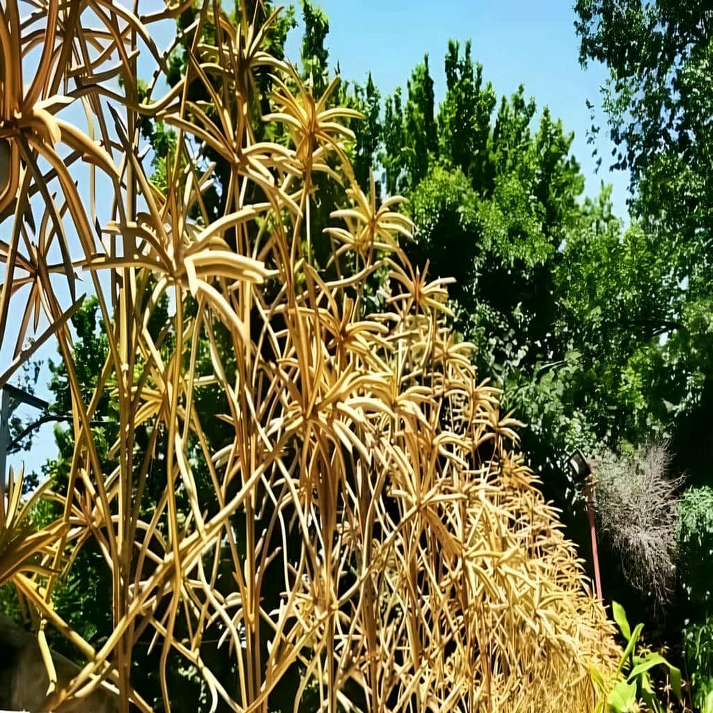 مرکز عرضه تخصصی حفاظ نخل مرداب برای سفارش اینترنتی و ارسال به شهرستان‌ها