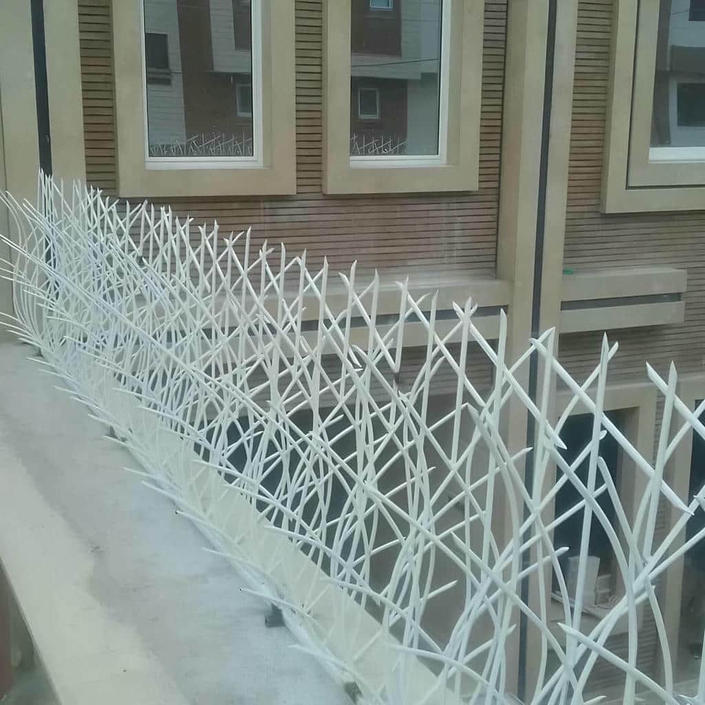 حفاظ دیوار با رنگ روشن کنار ساختمان