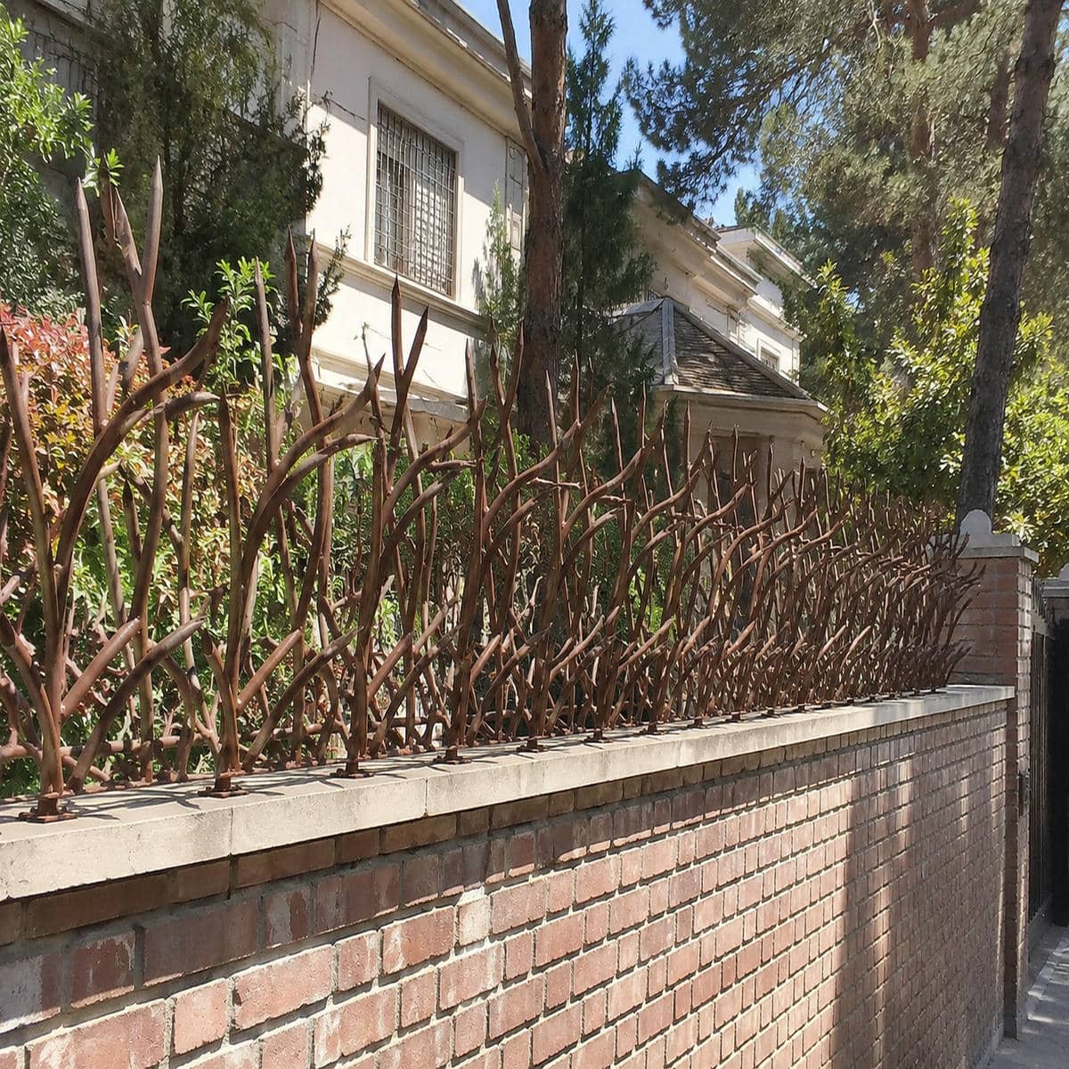 حفاظ دیوار شاخ گوزنی با پوشش تیره در استان ایلام