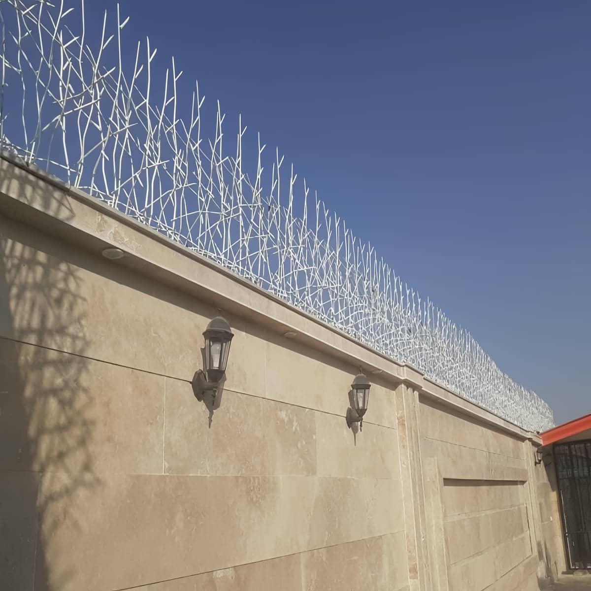 حفاظ دیوار شاخ گوزنی مشکی در همدان