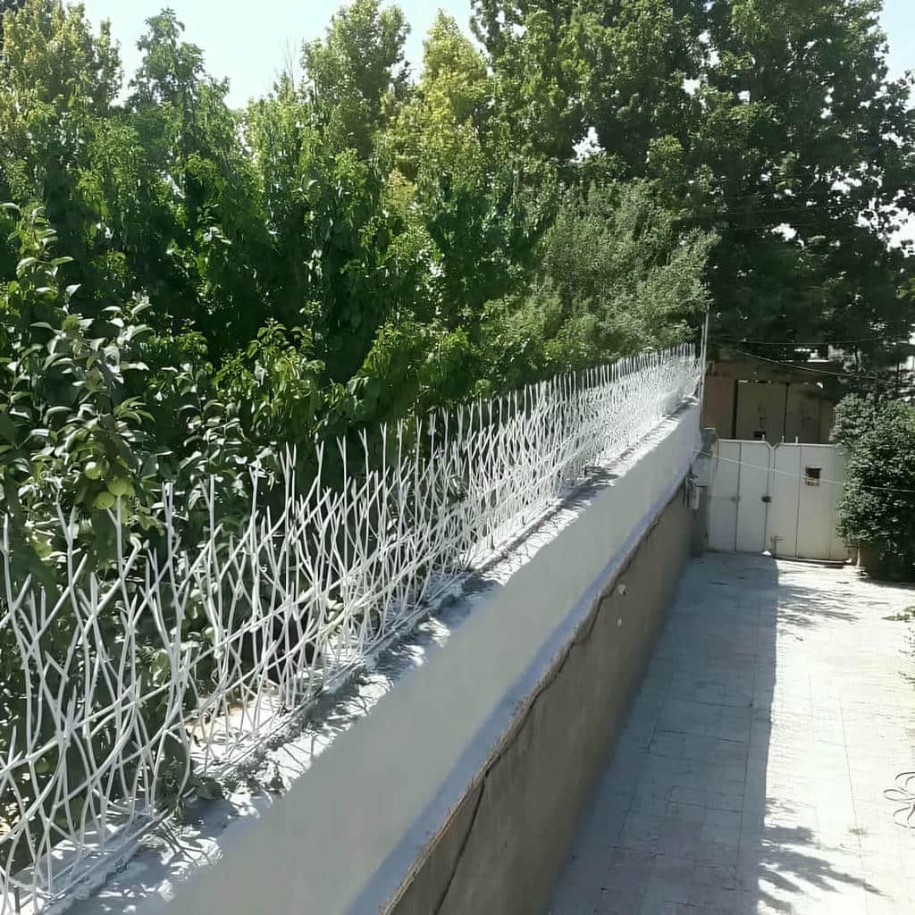 حفاظ شاخ گوزنی متراکم برای محوطه آجری
