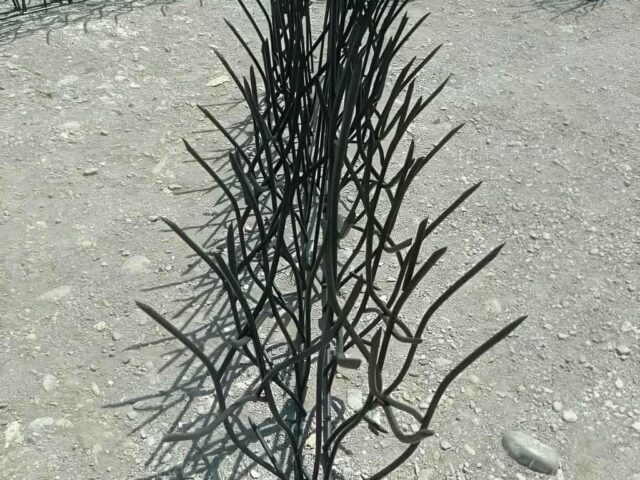مرکز تخصصی حفاظ دیوار در زاهدان و حومه
